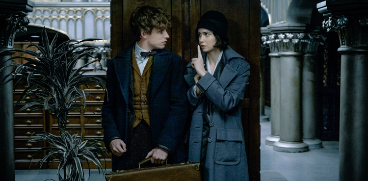 Fantastic Beasts, Film, Warner Bros, David Zaslav