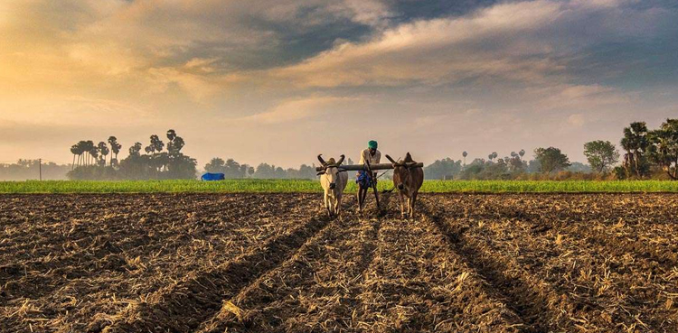 kissan package 2022