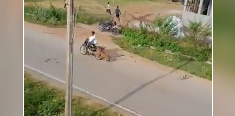 leopard attacks, leopard attack, leopard, india, viral video, viral, video