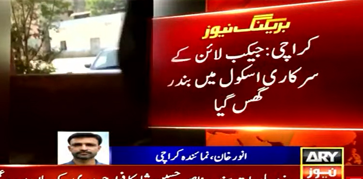 Monkey in Karachi School