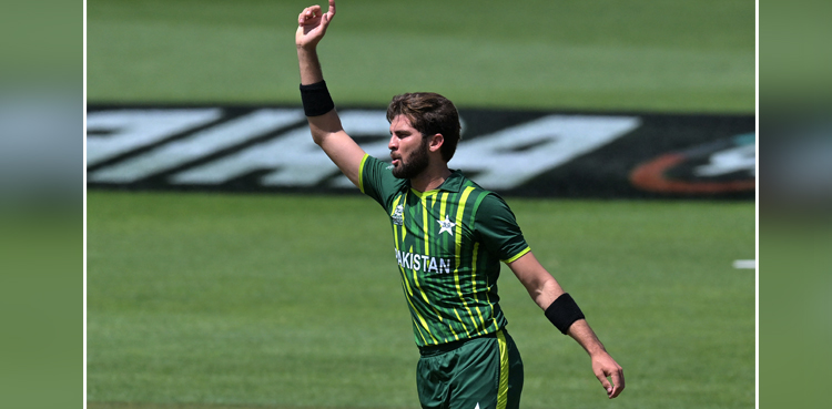 shaheen shah afridi, shaheen, t20 world cup, t20 world cup 2022,