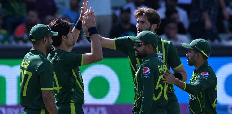 T20 World Cup, Pakistan semi-finals, memes