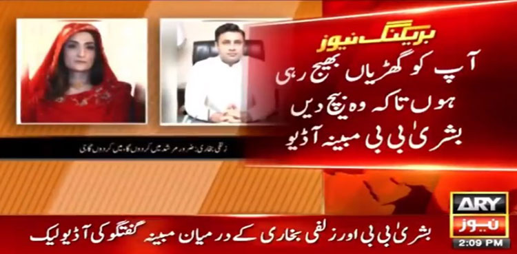 bushra bibi audio leak
