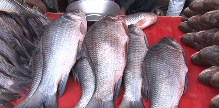 fish price