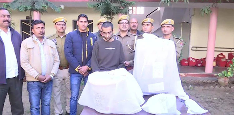 Nephew kills aunt, chops body parts,