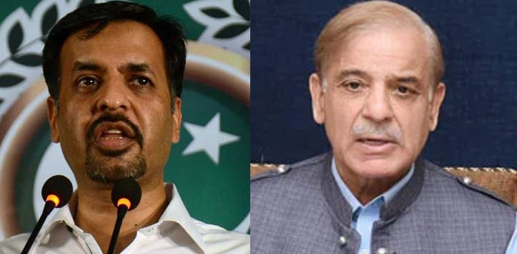 Mustafa Kamal, PM Shehbaz Sharif, PSP