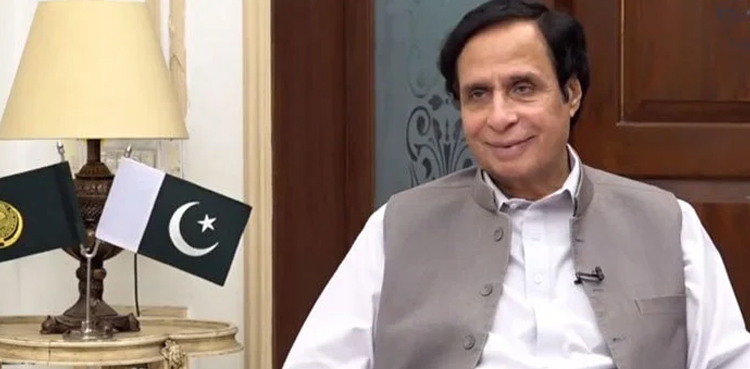 Punjab CM Pervaiz Elahi, denotification order, Punjab governor, LHC