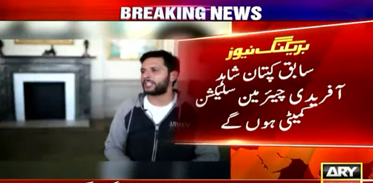 Shahid Afridi appointed interim chief selector