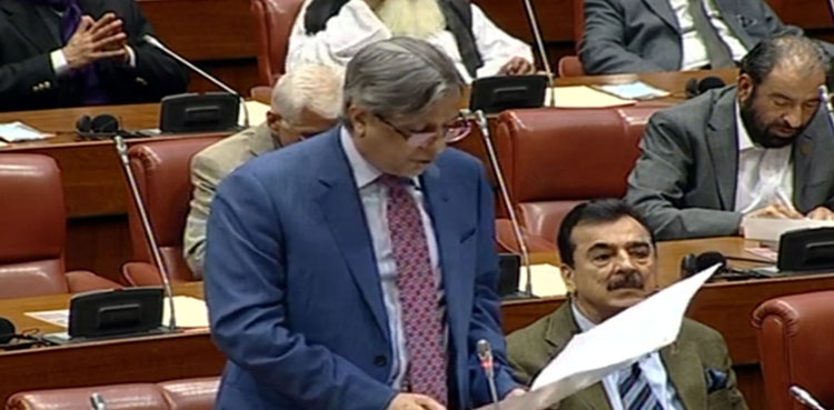 Reko Diq project, Senate, Foreign Investment Protection Bill