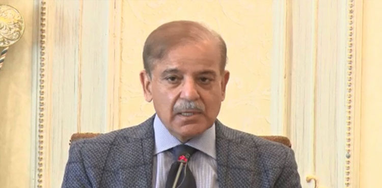Shehbaz, government, IMF programme