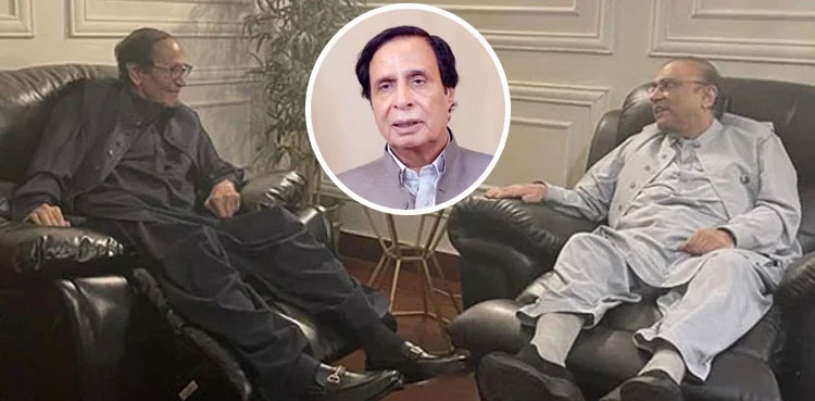 Pervaiz Elahi, Chaudhry Shujaat Hussain, Asif Zardari, Punjab Assembly