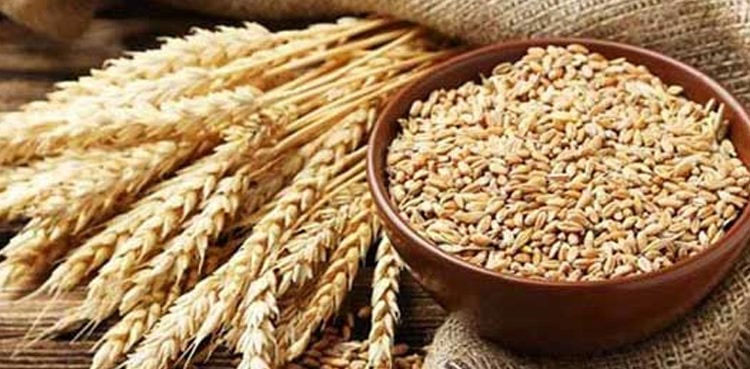 Shehbaz Sharif PM Shehbaz Sharif wheat produciton