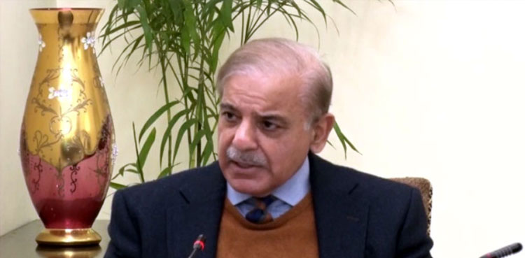 PM Shehbaz, eradicate, polio, Pakistan