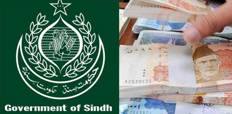 Sindh, ACE, inquiry