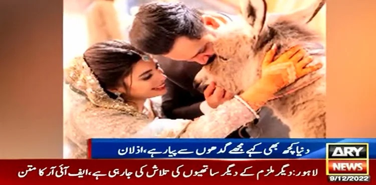youtuber azlan shah girft baby donkey, viral