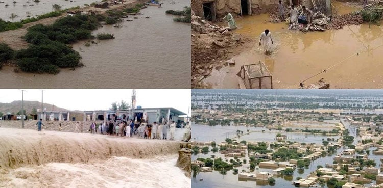 ANP member resigns, PM flood relief committee, Senator Arbab Umar Farooq