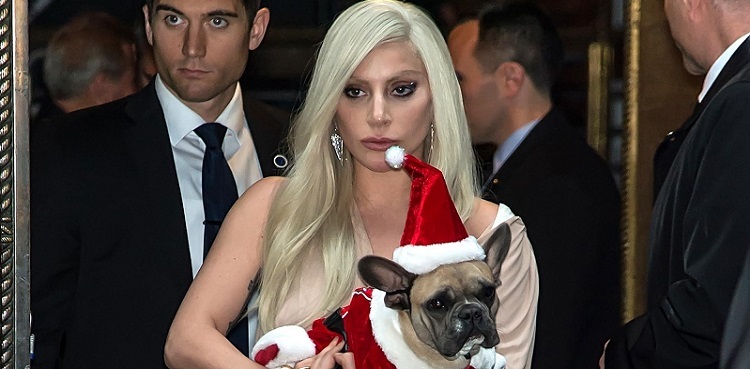 lady gaga do robbery