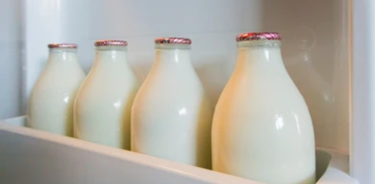 1 in 5 milk samples test positive for bird flu