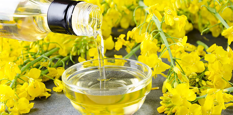 rapeseed oil