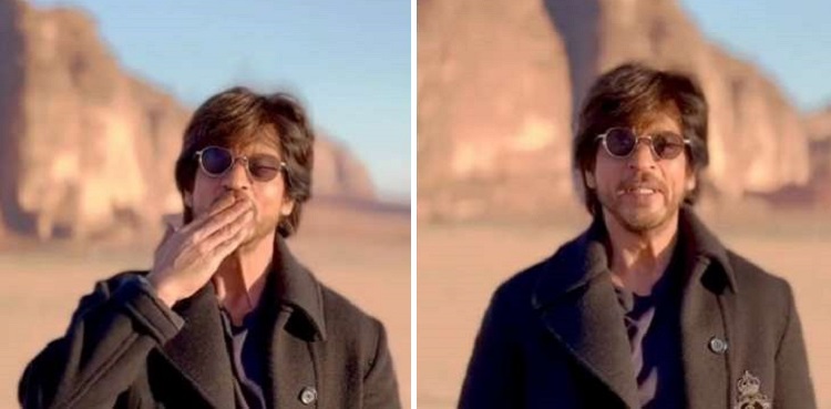 shahrukh khan, srk, dunki