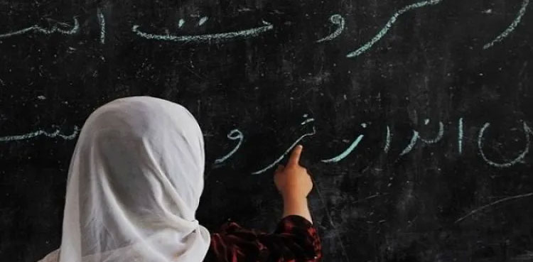 Sindh education system digitize Sardar Shah