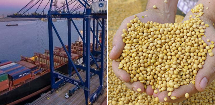 soybean shipments, soybean vessels, FTO, one-time clearance, Customs