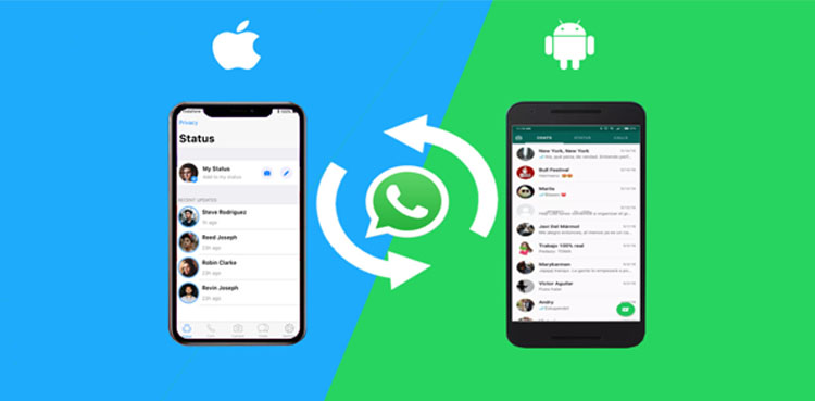 Transfer, Whatsapp Messages, Android. IOS, Guide,