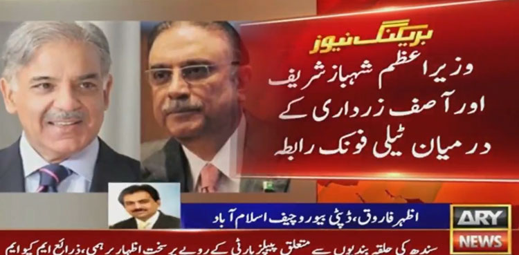 PM Shehbaz Sharif, Asif Zardari discuss political situation