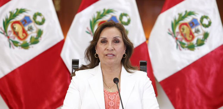 protester grabbed President, President Dina Boluarte, Peru