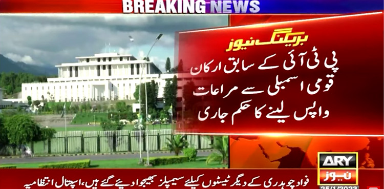 CDA, PTI MNAs