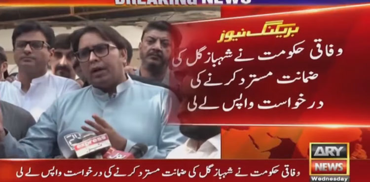 federal government, plea, Shahbaz Gill, bail