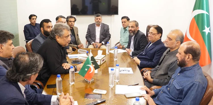 Karachi mayor, Ali Zaidi, Hafiz Naeem, meeting