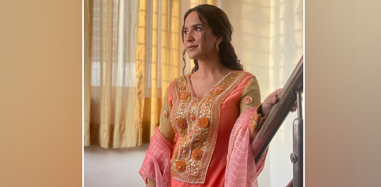 Anoushay Abbasi, actor, abyss, picture