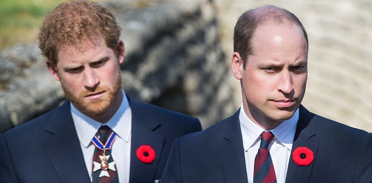 prince harry, william, spare