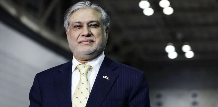 PM Kakar , Ishaq Dar, leader of House senate, Murtaza Solangi