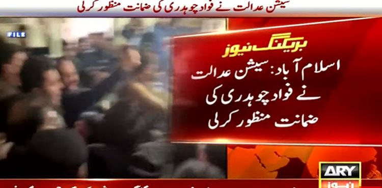 fawad chaudhry bailed