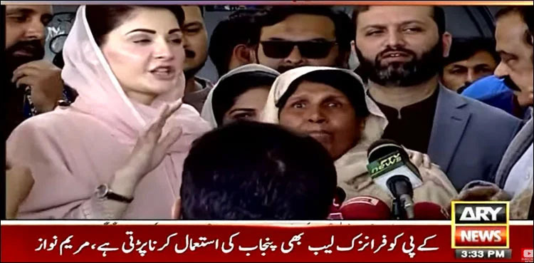 Woman activist, records protest, Maryam Nawaz's presser