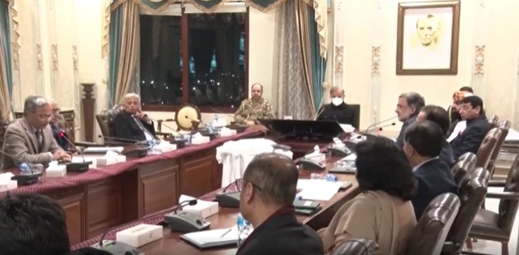 PM Shehbaz Sharif, Kashmir Solidarity Day