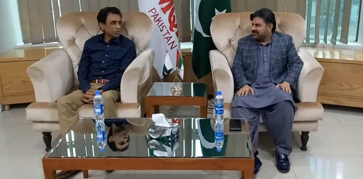 PPP MQM-P talks, elections