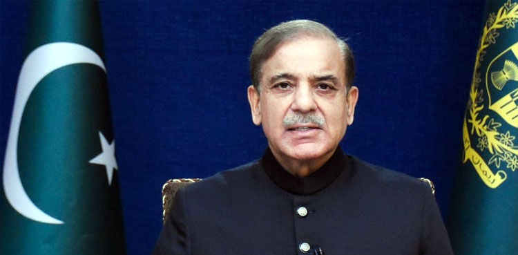 Shehbaz Sharif, Kashmir Solidarity Day