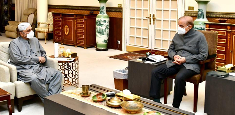PM Shehbaz Sharif, Asif Ali Zardari