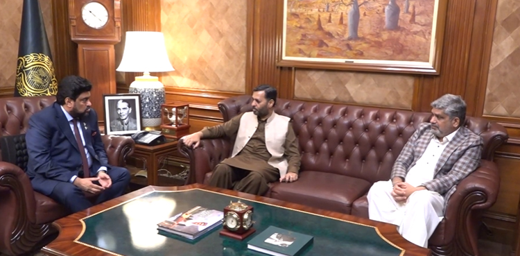 MQM-P leaders, Sindh governor, Kamran Tessori