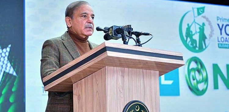 Govt, laptops, youth, PM Shehbaz