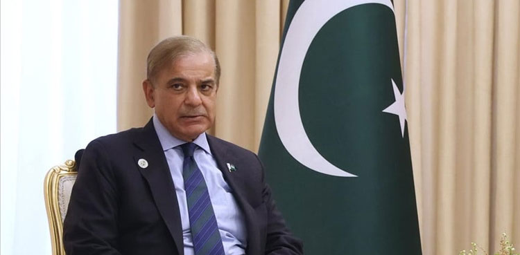 Peshawar blast, PM Shehbaz, apex committee, meeting