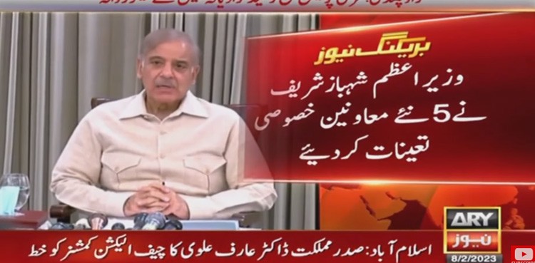 PM Shehbaz Sharif cabinet