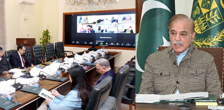 PM Shehbaz, committee, relief activities, Turkiye, Syria