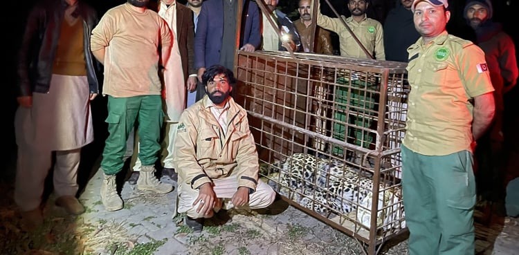 Leopard attack Police register case