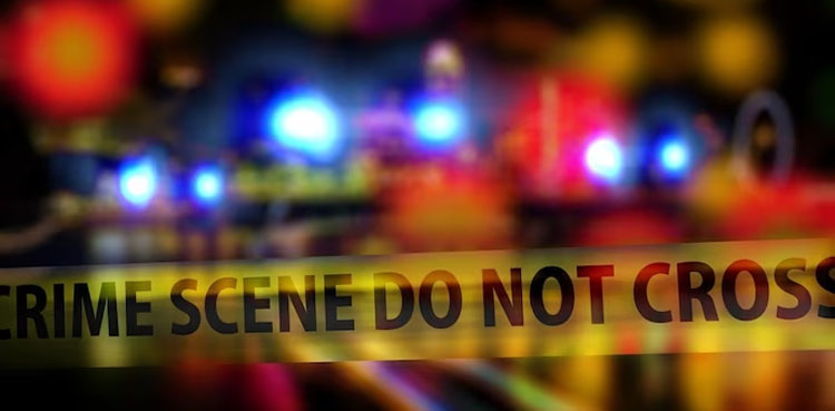 Boy rapes old woman