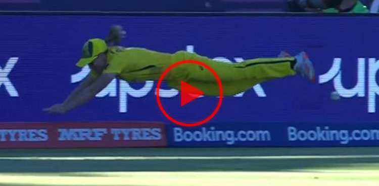 ellyse perry, ellyse perry fielding, australia, women's t20 world cup, t20 world cup,