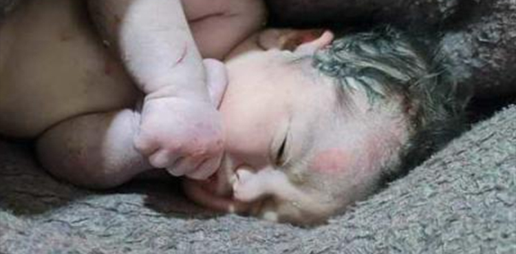 Syria newborn pulled alive, Syria earthquake